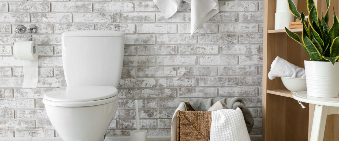 Cr&eacute;ation de salle de bains cl&eacute; en main &agrave; Colmar et Mulhouse Illzach 4