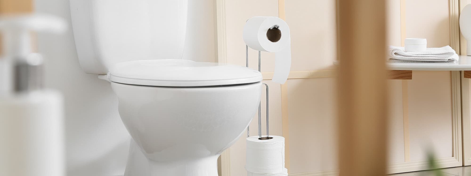 Comment d&eacute;boucher des toilettes ? Audincourt